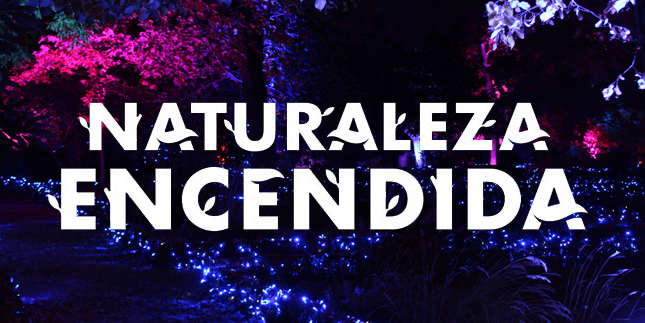 Naturaleza Encendida 2021 - (Real Jardín Botánico, Madrid) - Review Exposición